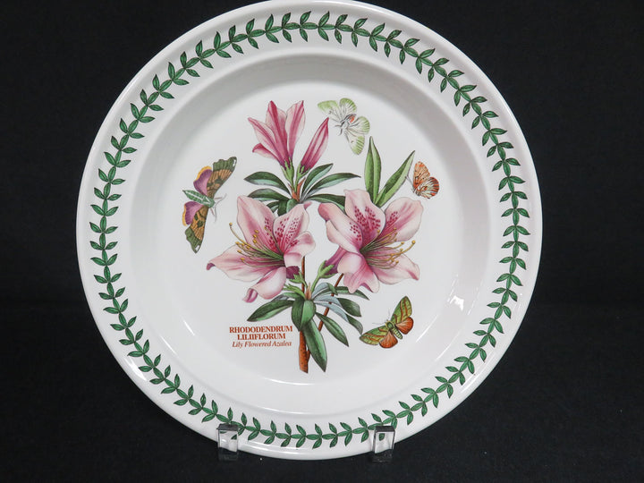 Portmeirion Dinner Plates