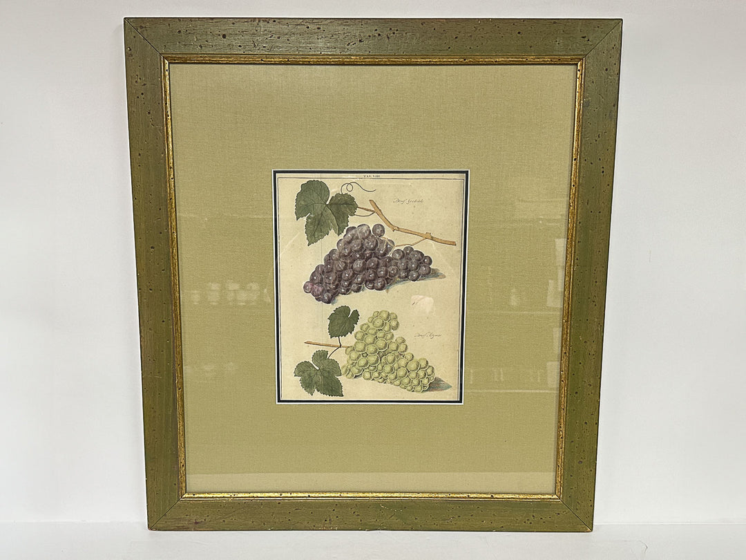 Botanical Grape Print