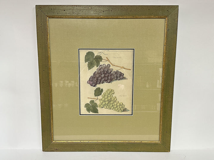 Botanical Grape Print