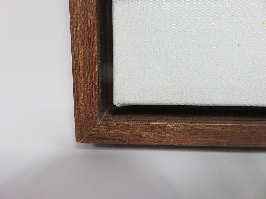 Canvas Print by Amy Hall