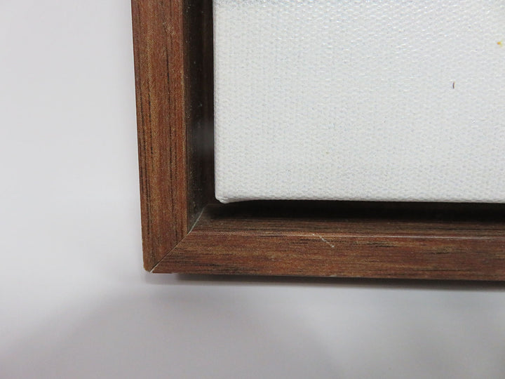 Canvas Print by Amy Hall