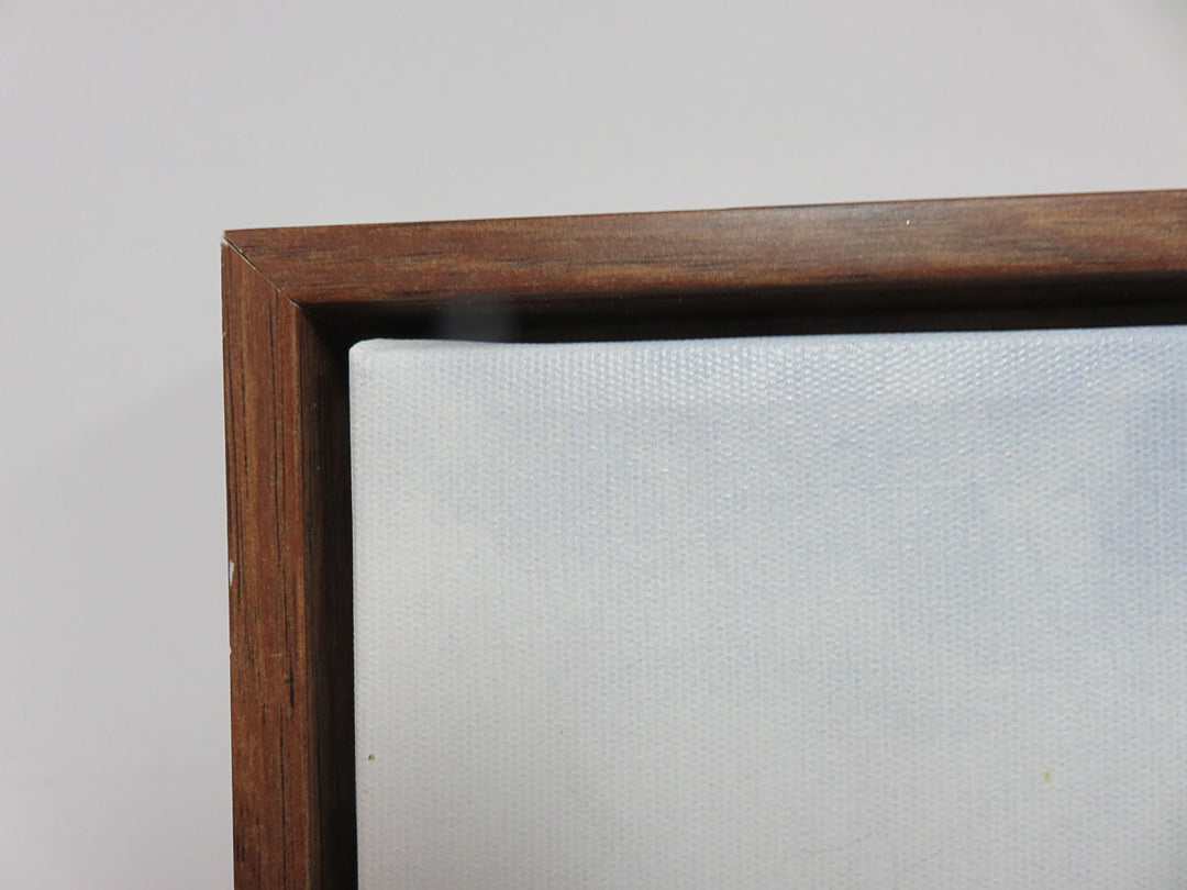 Canvas Print by Amy Hall