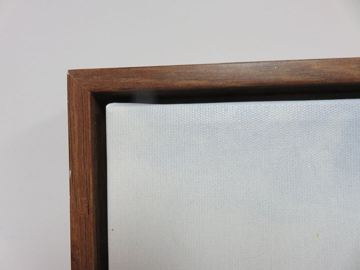 Canvas Print by Amy Hall