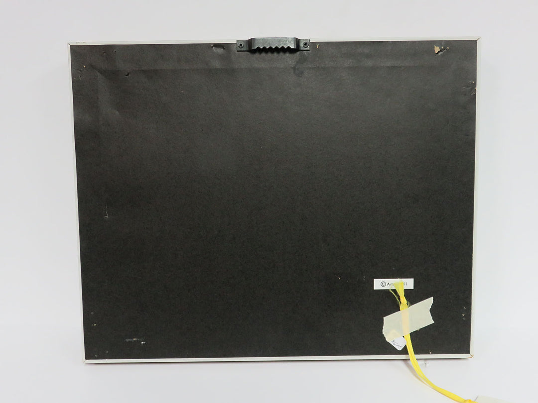 Canvas Print by Amy Hall