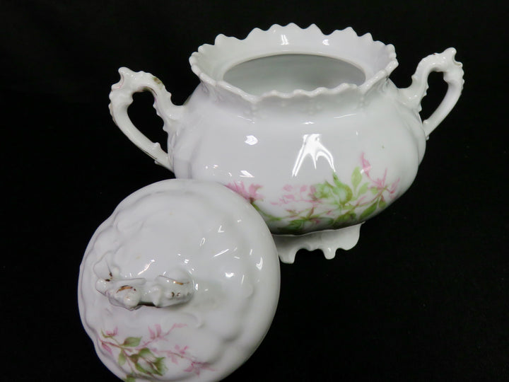 Habsburg China Sugar Bowl