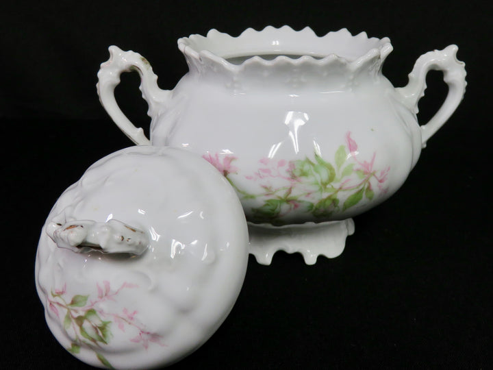 Habsburg China Sugar Bowl