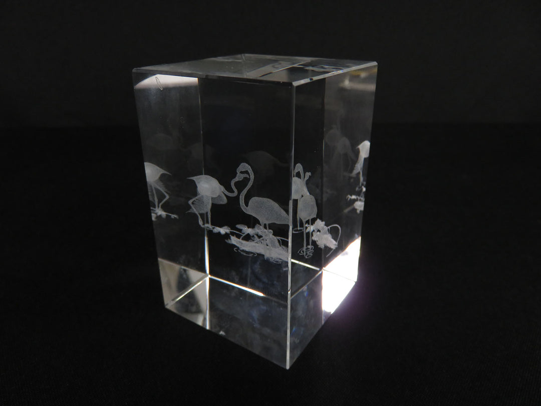 3D Laser Etched Paperweight