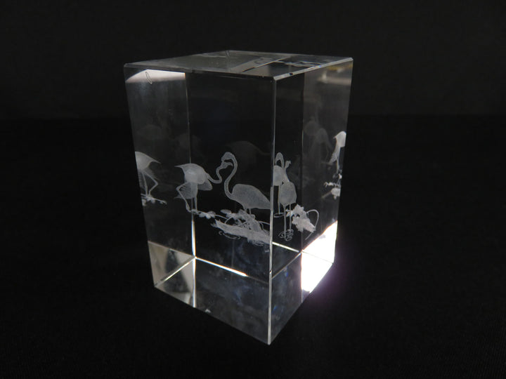 3D Laser Etched Paperweight