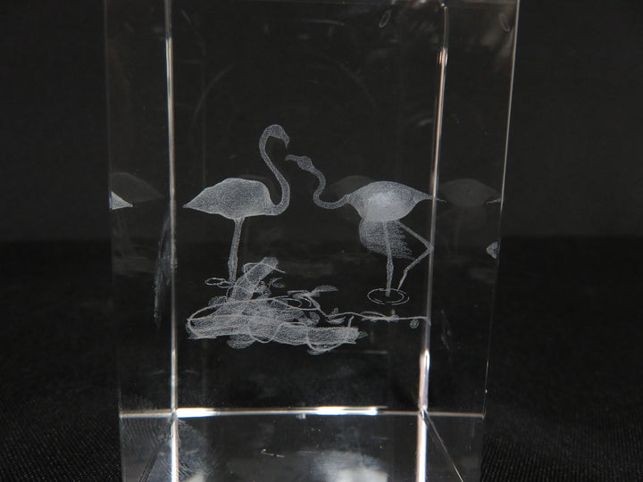 3D Laser Etched Paperweight