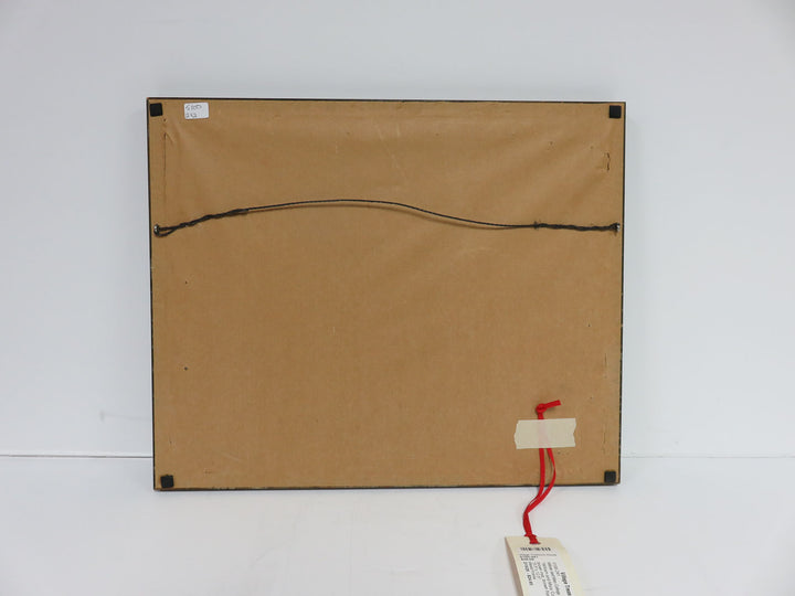 William and Mary College Print