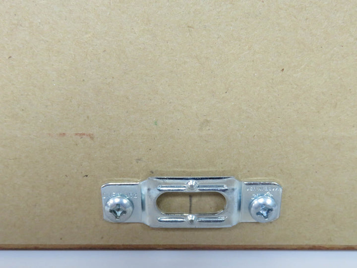 Purple Dahlia II Photograph