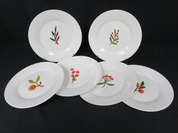 Crate & Barrel Appetizer Plates