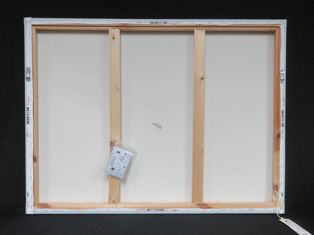 "Wishful Thinking" Canvas Print