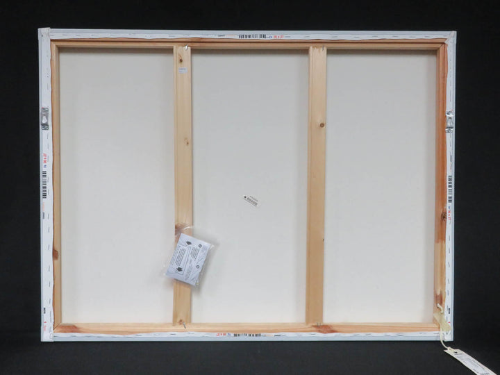 "Wishful Thinking" Canvas Print