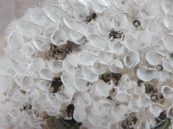 Hydrangeas Canvas Print