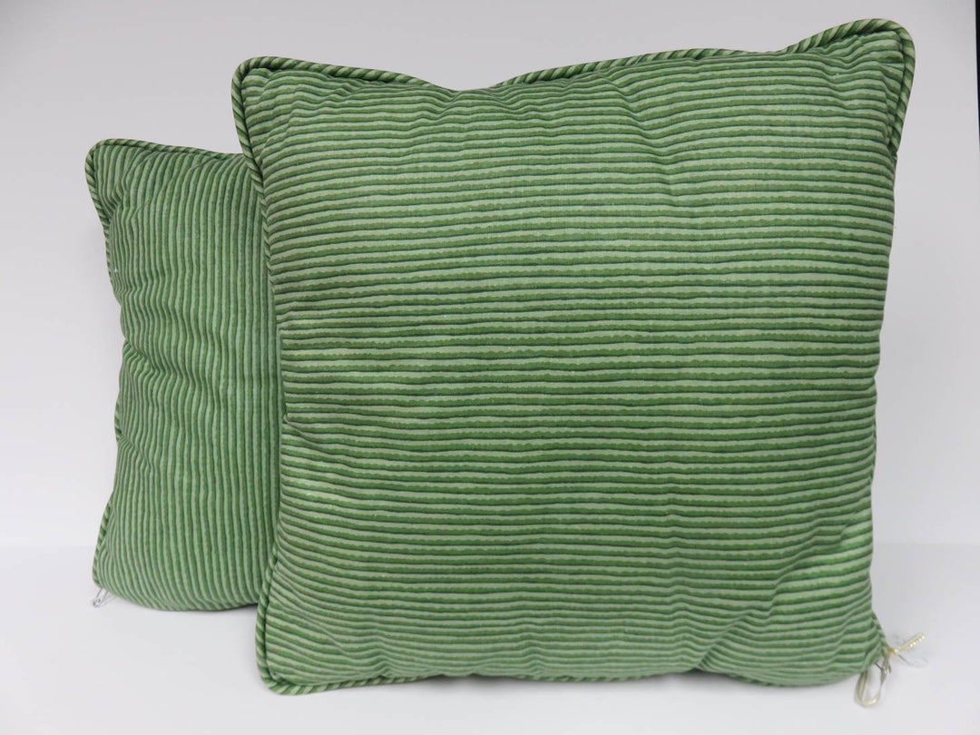 Pair of Green Throw Pillows