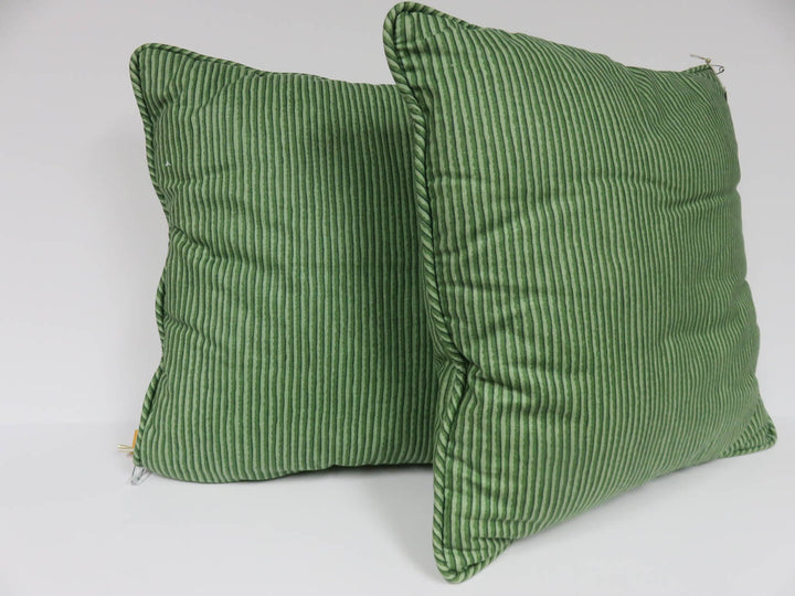 Pair of Green Throw Pillows