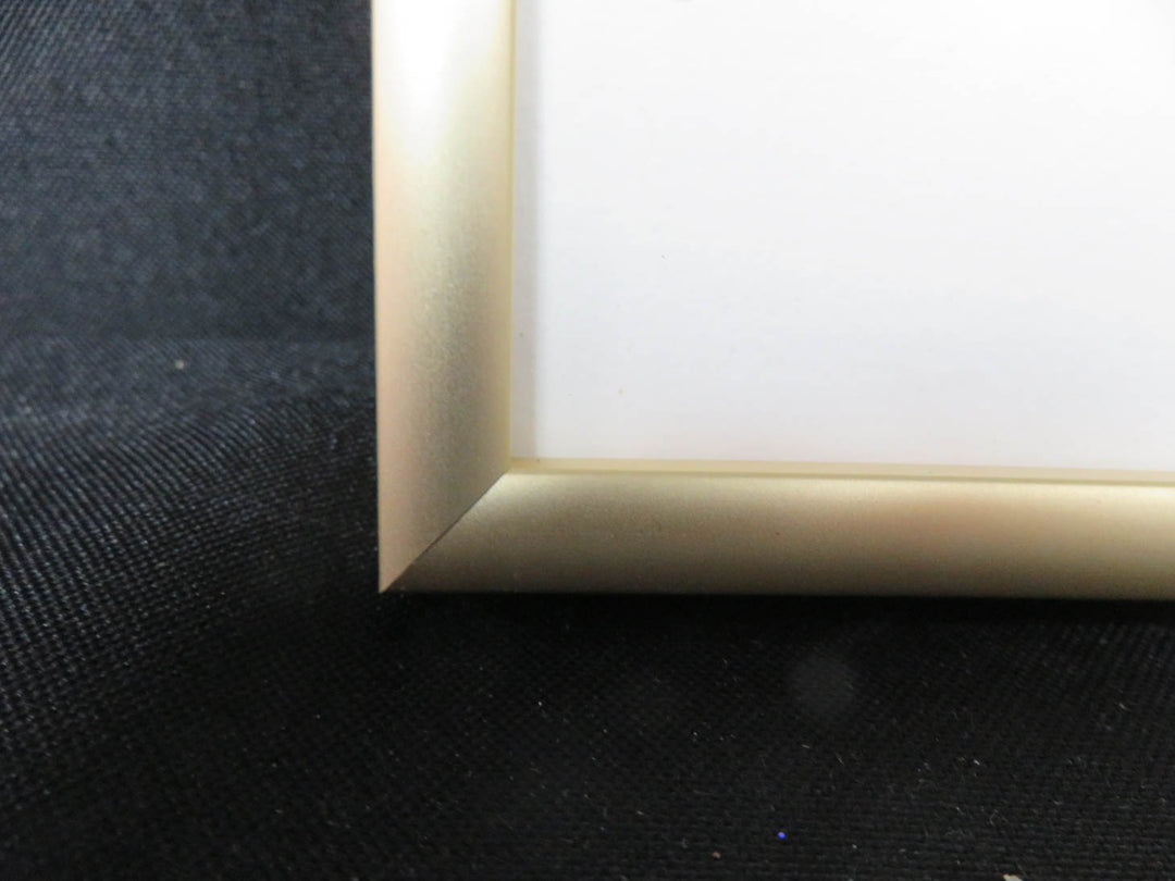 Floral Print by Dana Brown