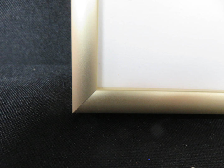 Floral Print by Dana Brown