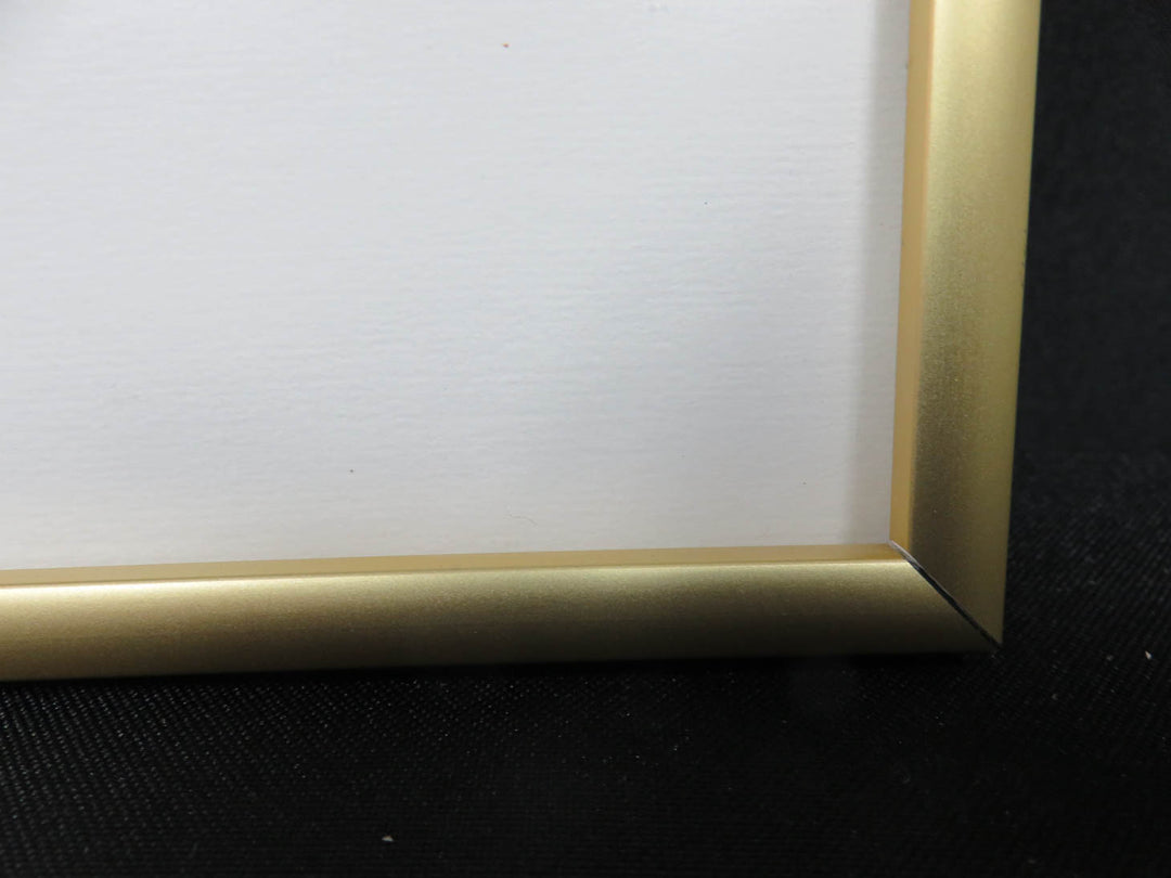 "Window Box Flowers"