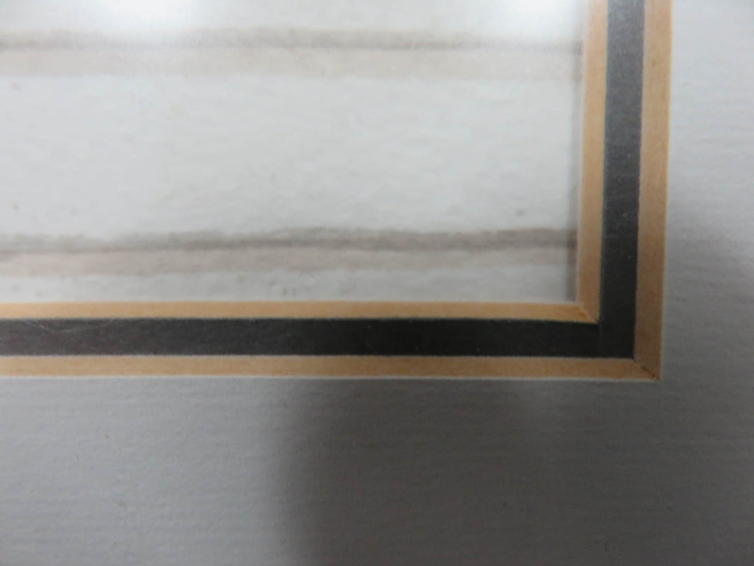 "Window Box Flowers"