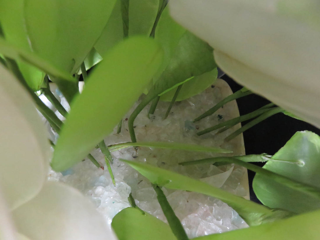 Flower Bouquet of Shells