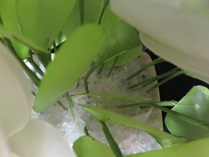 Flower Bouquet of Shells