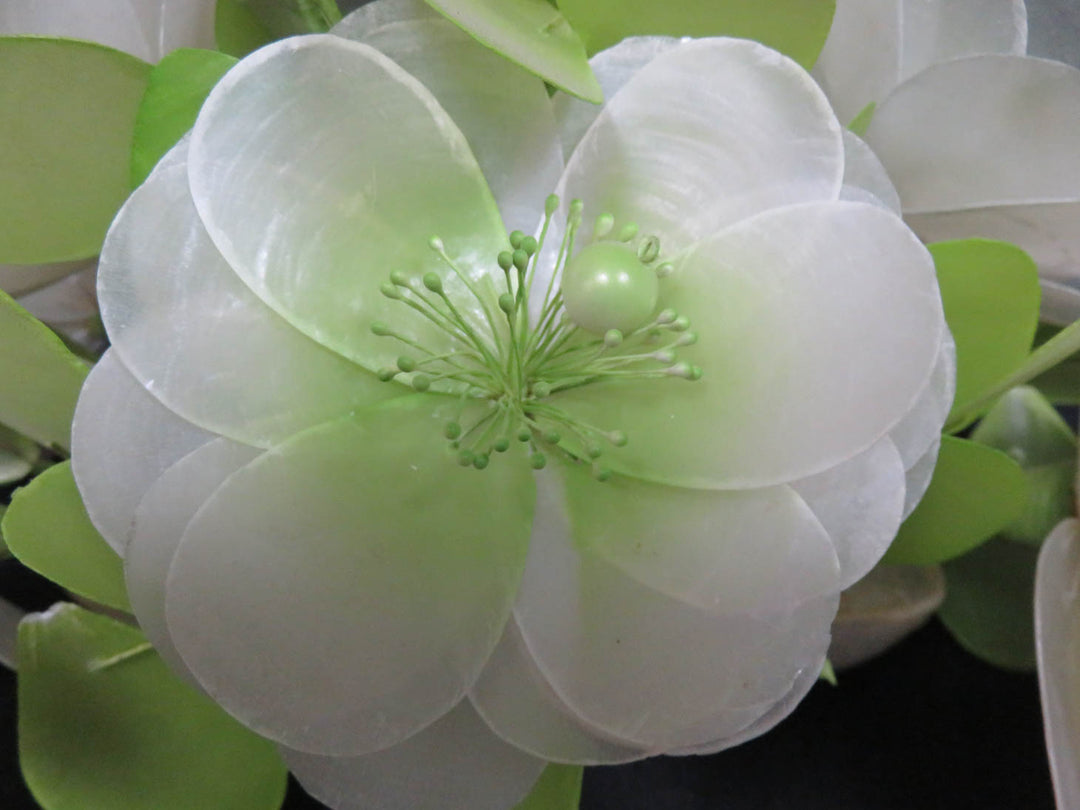 Flower Bouquet of Shells
