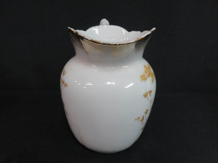 John Maddock & Sons Men's Water  Pitcher