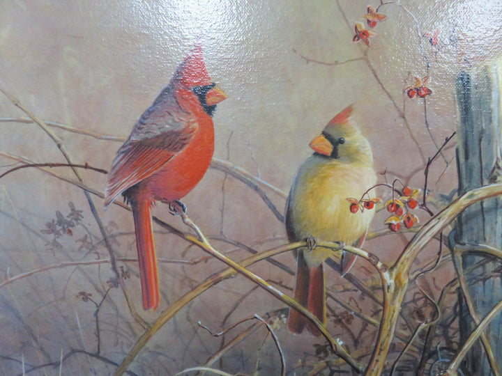 Cardinals with Bittersweet Berries Print