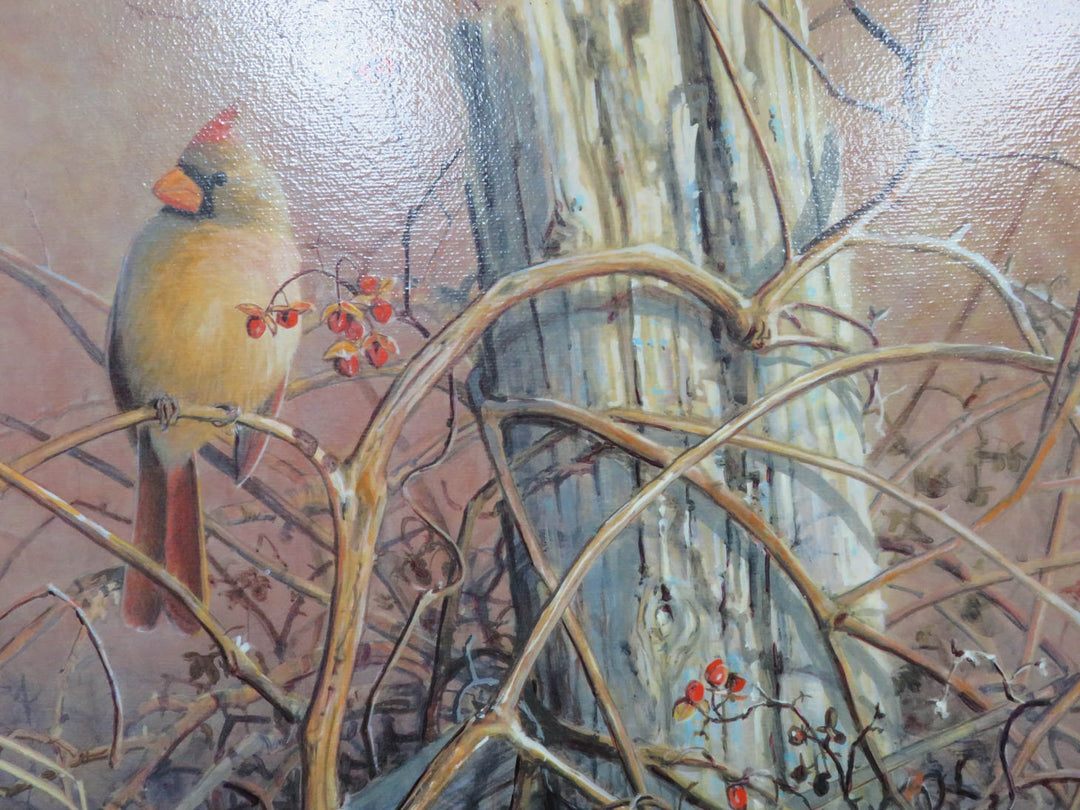 Cardinals with Bittersweet Berries Print