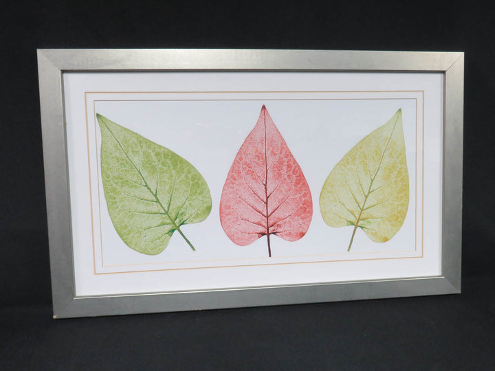 Leaf Print