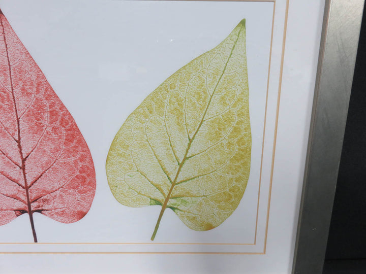 Leaf Print