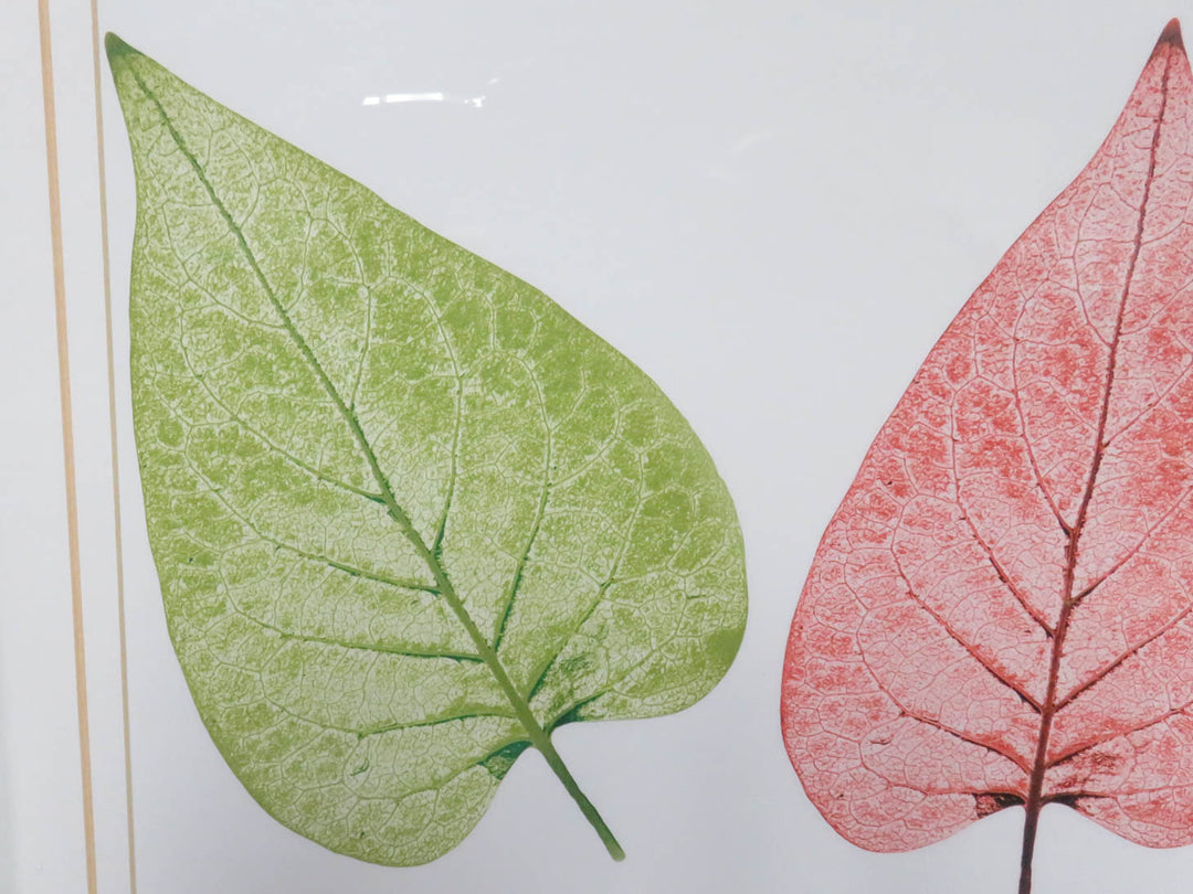 Leaf Print