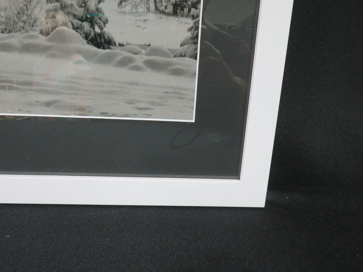 Ansel Adams Print