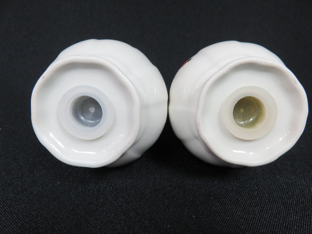 Villeroy & Boch Salt and Pepper Set