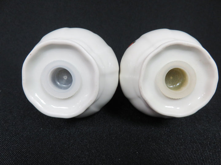 Villeroy & Boch Salt and Pepper Set