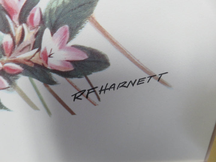 R.F. Harnett Floral Print