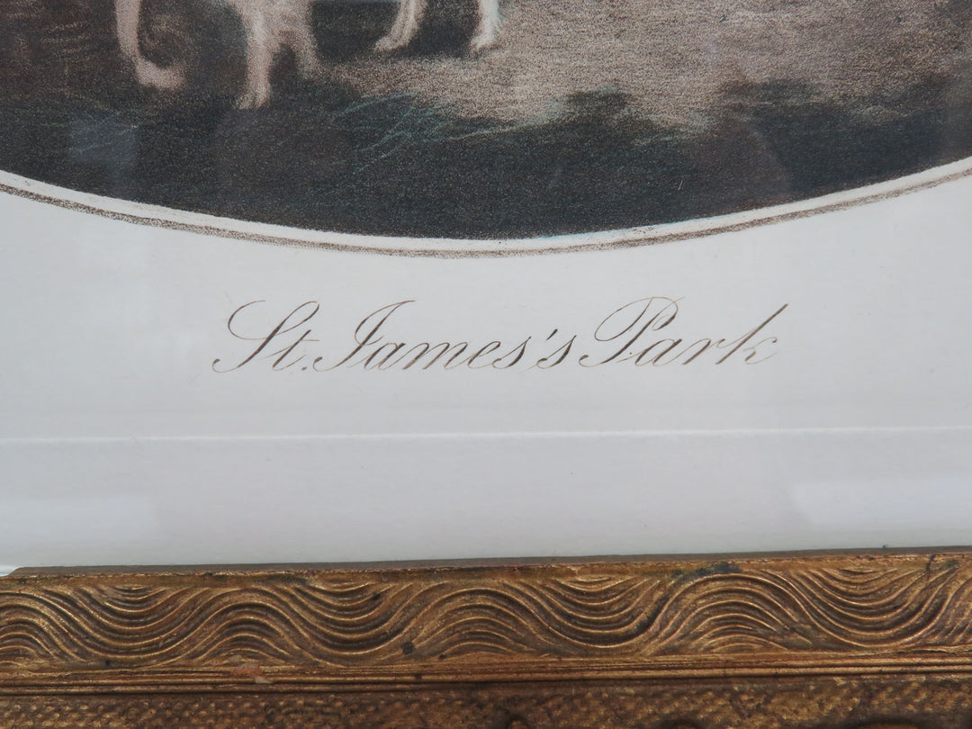 Engraving of St. James  Park Scene in Antique Frame