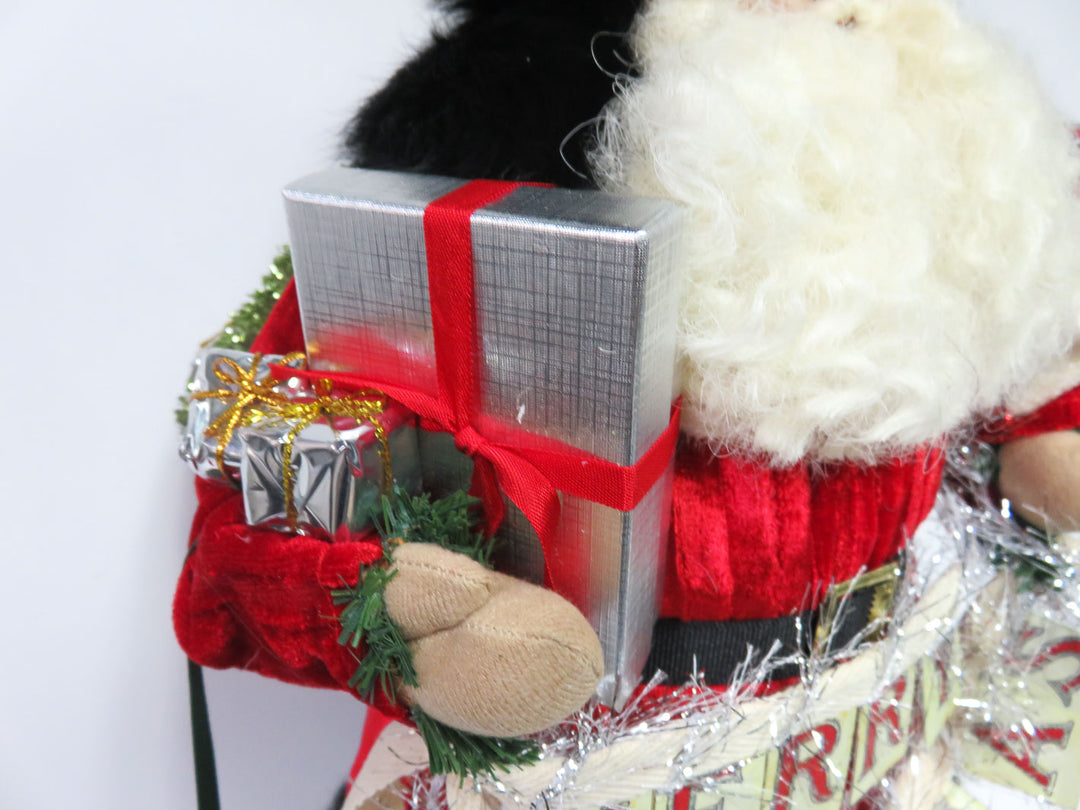 Lynn Haney Santa