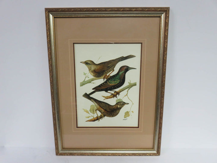 W. Rutledge Domestic Bird Print