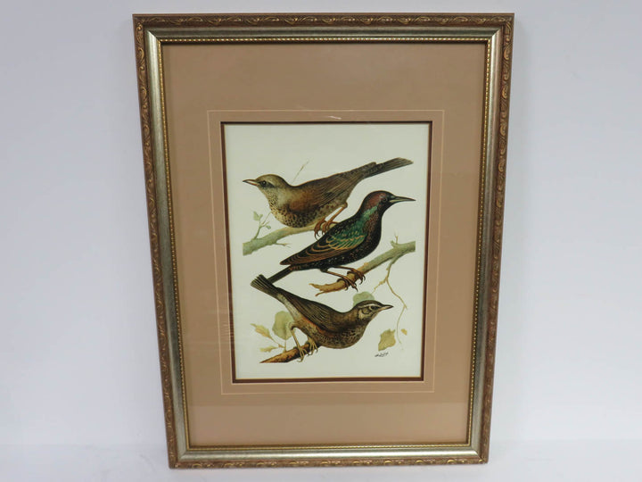 W. Rutledge Domestic Bird Print