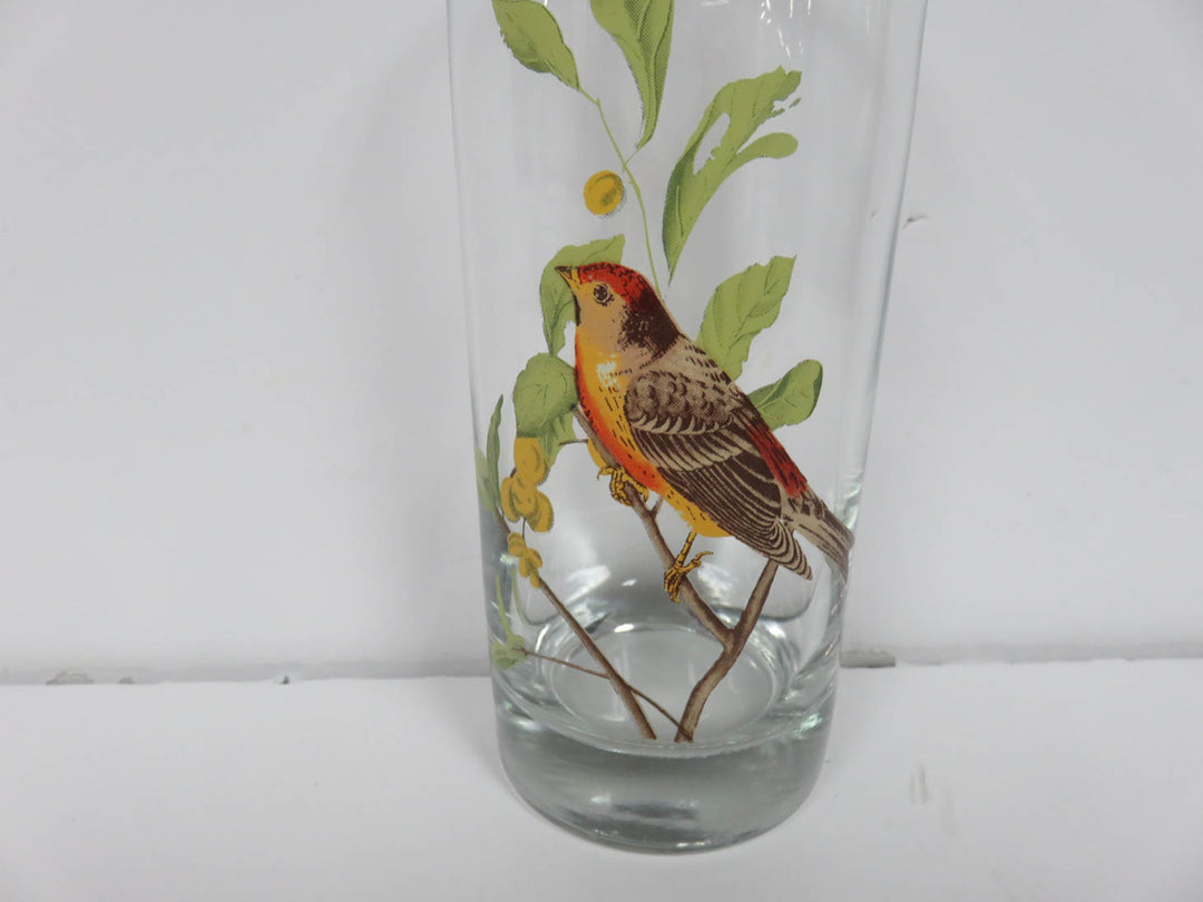 Bird Tumblers