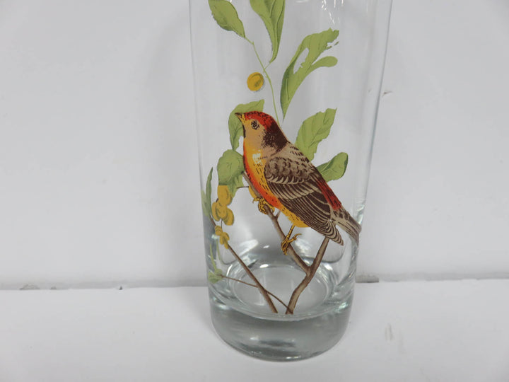 Bird Tumblers