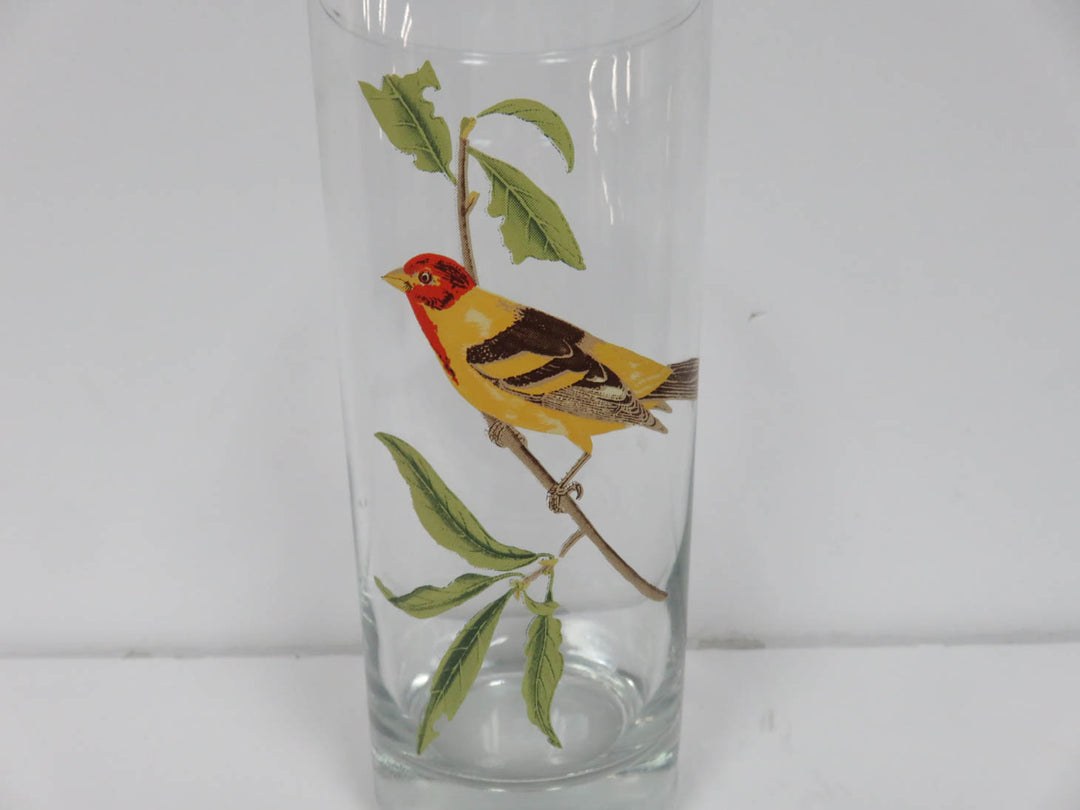 Bird Tumblers