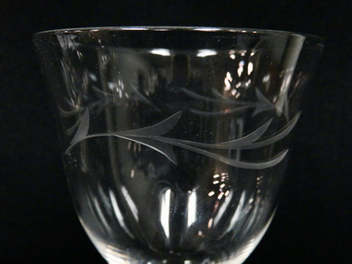 Etched Water Glasses