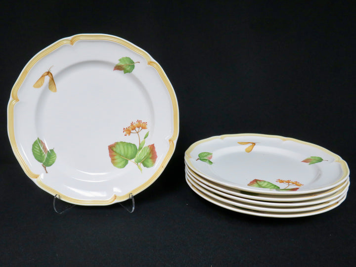 Villeroy & Boch Dinner Plates