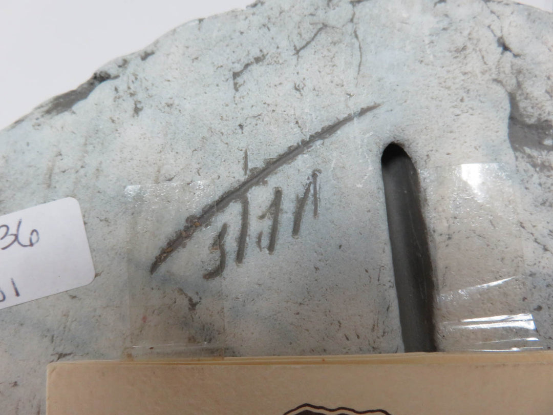 "Shapes of Clay" Artwork