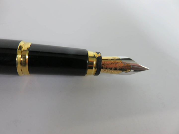 Waterman Le Man 100 Fountain Pen