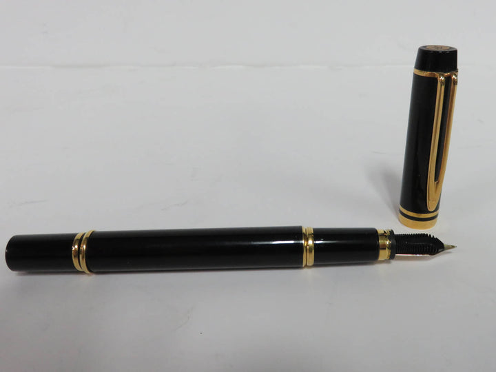 Waterman Le Man 100 Fountain Pen